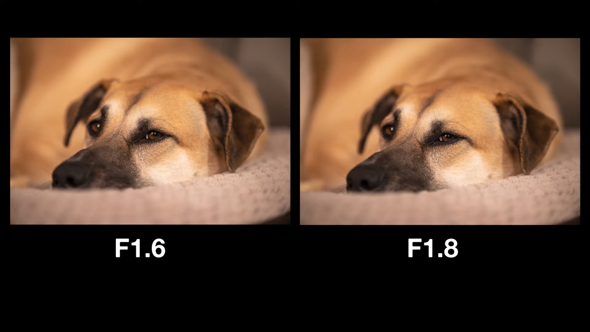 Ống kính Viltrox 85mm F1.8 cho Fujifilm và Sony được nâng cấp thành F1.6 sau khi cập nhật firmware
