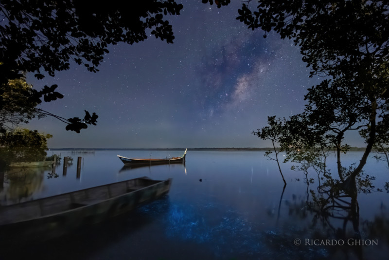 Bộ ảnh chụp Milky Way cùng với hiện tượng Phát Quang Sinh Học bằng máy ảnh ảnh Fujifilm và Sony