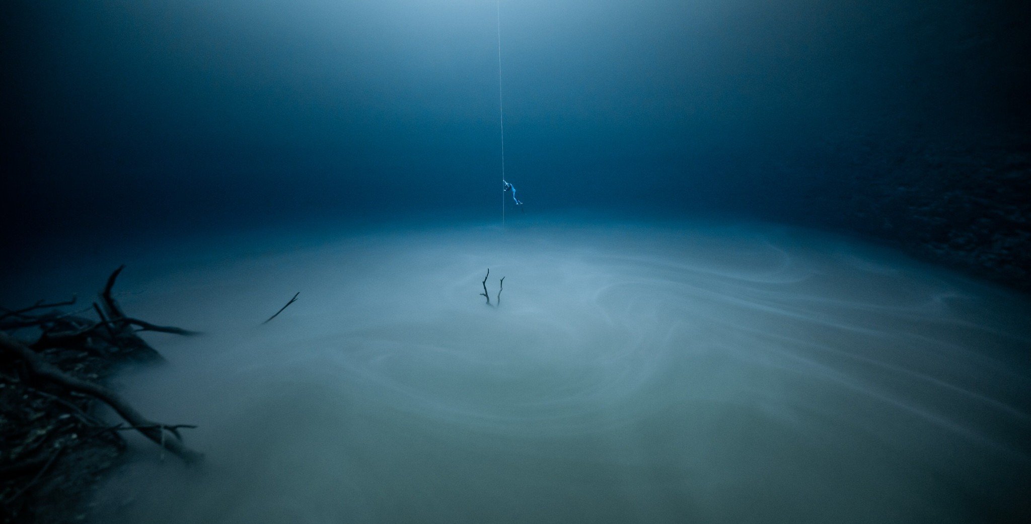 Loạt ảnh đẹp ấn tượng trong cuộc thi Nhiếp ảnh gia Đại dương của năm 2020