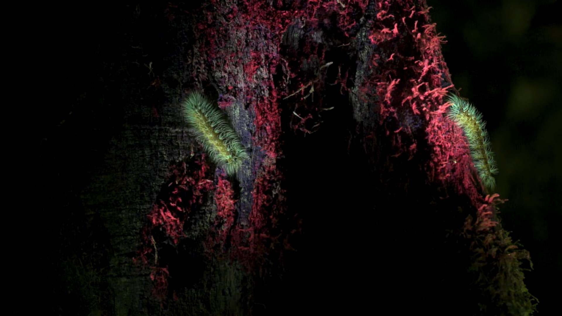 7e1624c055