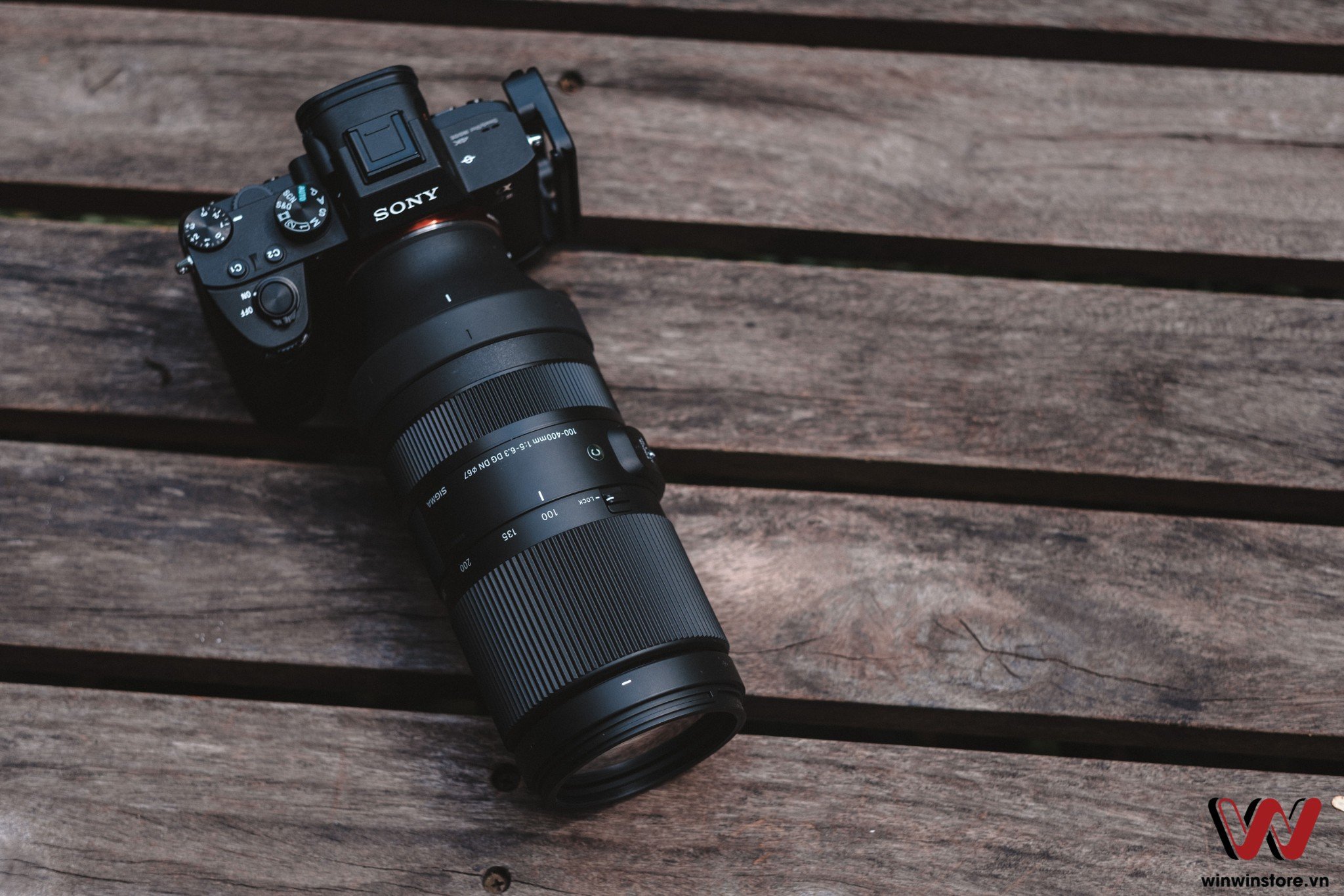 Trải nghiệm ống kính Sigma 100-400mm F5-6.3 DG DN OS trên máy ảnh Sony a7 III