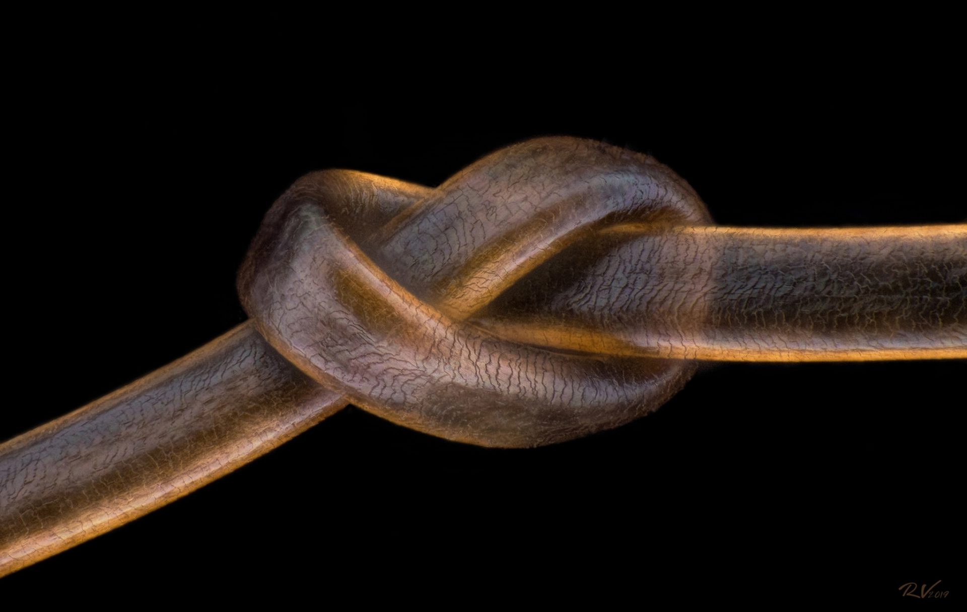 9d25070b86
