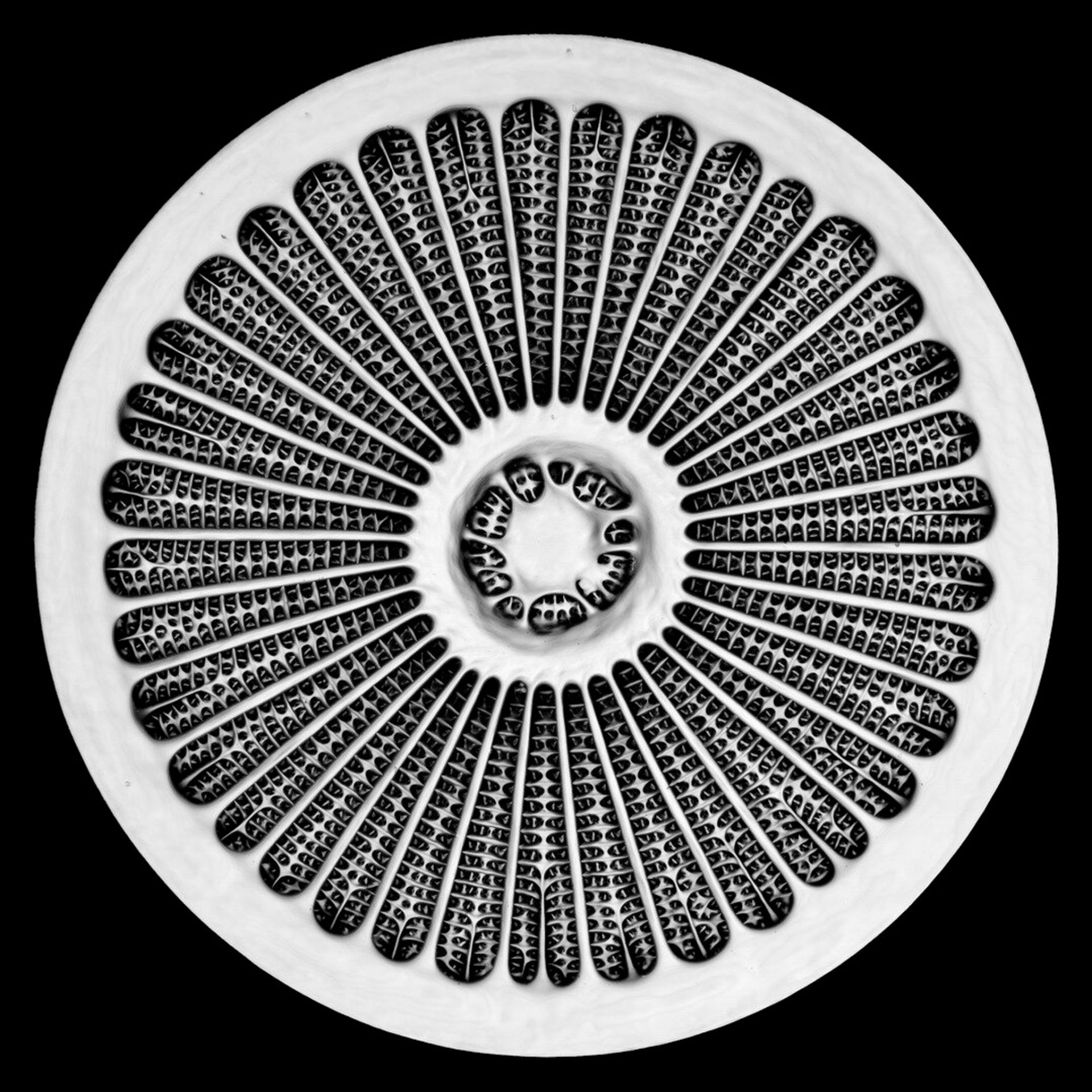 bf01d80f59