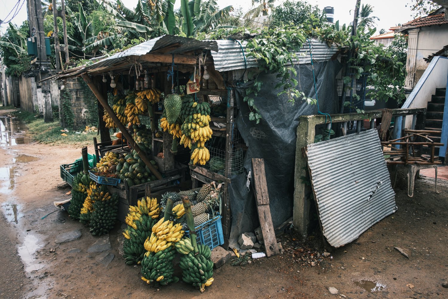 Bộ ảnh du lịch tại Sri Lanka với Fujifilm X-Pro3 cùng nhiếp ảnh gia Andy Gawlowski