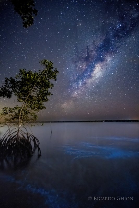 Bộ ảnh chụp Milky Way cùng với hiện tượng Phát Quang Sinh Học bằng máy ảnh ảnh Fujifilm và Sony