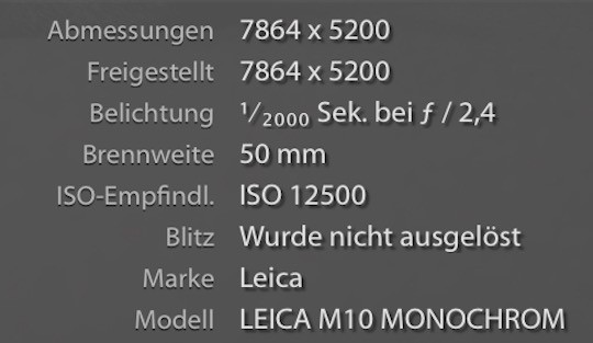 [Rò Rỉ] Leica M10 Monochrom chụp ảnh đen trắng độ phân giải lên đến 41MP?