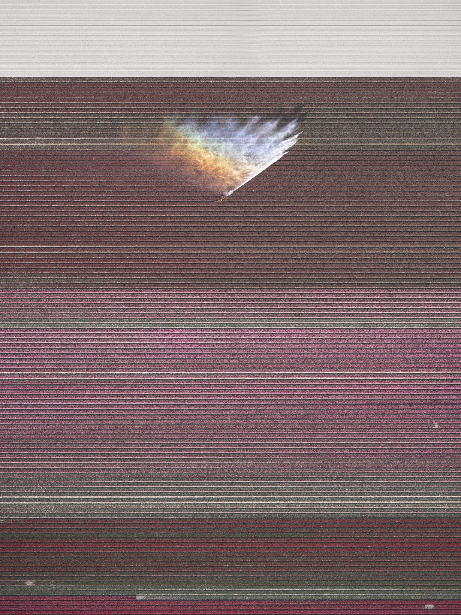 d3b2a29854