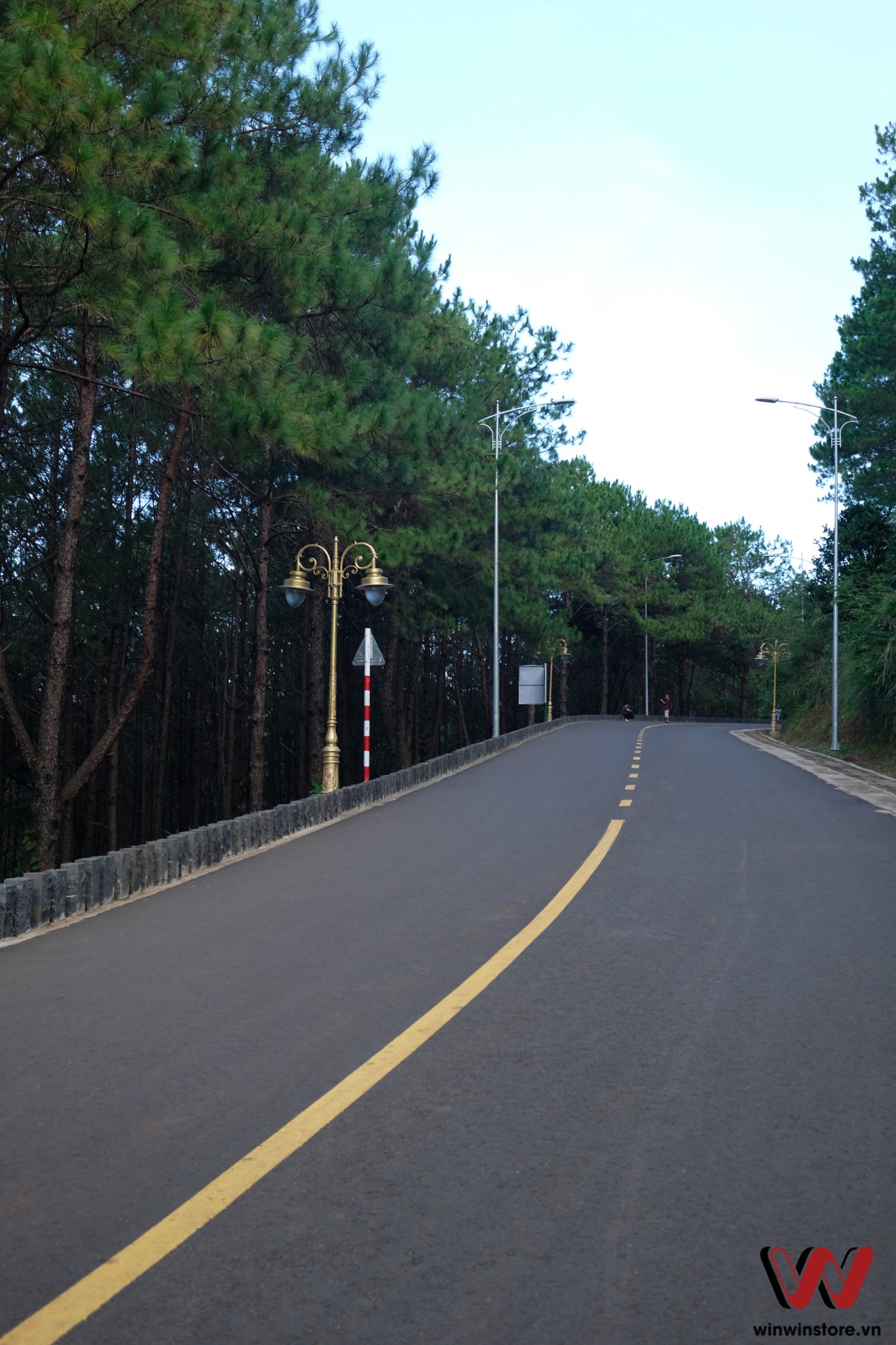 fda981c908